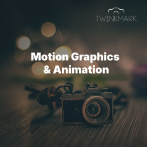 Motion Graphics & Animation- Standard Package